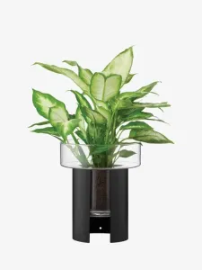 Terrazza kvetináč, v. 22 cm, Ø19 cm, číra/čierna - LSA international