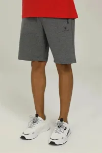 Lumberjack Basic Pes Men's Gray Shorts