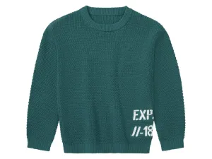 lupilu® Chlapčenský pulóver (110/116, zelená)