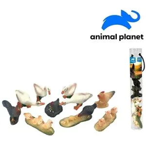Zvieratká v tube – farma, 5 – 8 cm, mobilná aplikácia na zobrazenie zvieratiek, 10 ks