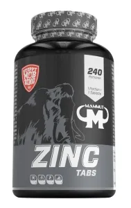 Zinc Tabs - Mammut Nutrition 240 tbl