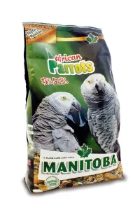 African Parrots 2kg