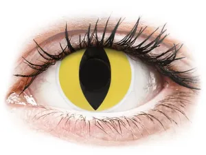 ColourVue Crazy - Cat Eye, ročné, nedioptrické, 2 šošovky