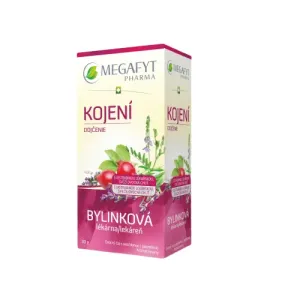 MEGAFYT Bylinková lekáreň DOJČENIE ovocný čaj 20x1,5 g (30 g)