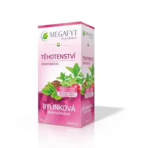 MEGAFYT Bylinková lekáreň TEHOTENSTVO bylinný čaj 20x1,5 g (30 g)