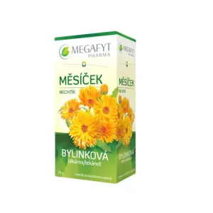 MEGAFYT Bylinková lekáreň NECHTÍK bylinný čaj 20x1,5 g (30 g)