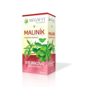 MEGAFYT Bylinková lekáreň OSTRUŽINA MALINOVÁ bylinný čaj 20x1,5 g (30 g)