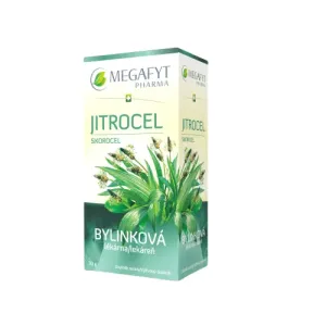 MEGAFYT Bylinková lekáreň SKOROCEL bylinný čaj 20x1,5 g (30 g)