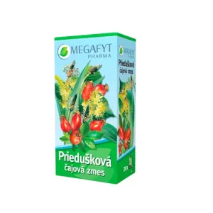 MEGAFYT Priedušková čajová zmes spc (záparové vrecúška) 20x1,5 g (30 g)