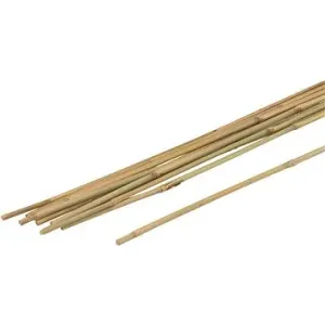 MEISTER Bambusová tyč, 21 – 24 × 2400  mm, 1 ks