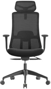 MERCURY Kancelárska stolička WISDOM, čierny plast, čierna