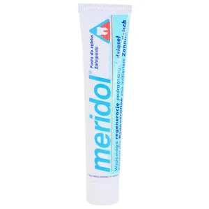 Meridol Gum Protection zubná pasta podporujúci regeneráciu podráždených ďasien 75 ml