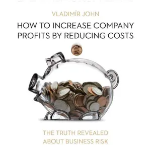 How to increase company profits by reducing costs (EN) - Vladimír John (mp3 audiokniha)