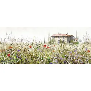 Obraz canvas 45x140 st502 grasses