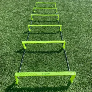 Elevated Agility Ladder