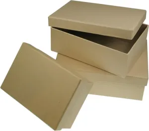 MEYCO - Kartónový obdĺžnikový box 17,5 x 12 / v6 cm