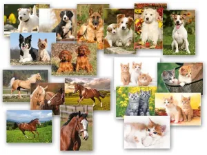 Pohľadnice Zvieratá MIX - MFP Paper