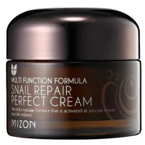 Mizon Pleťový krém s filtrátom hlemýždího sekrétu 60% pre problematickú pleť (Snail Repair Perfect Cream) 50 ml #3453712