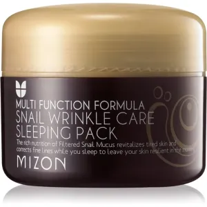 Mizon Multi Function Formula Snail regeneračná pleťová maska s extraktom zo slimáka 80 ml #878279