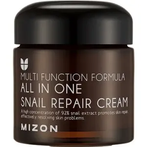 MIZON All In One Snail Repair Cream 75 ml