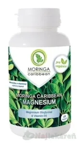 MORINGA Moringa Caribbean MAGNESIUM, 120ks