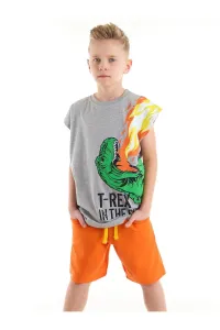 mshb&g T-rex Flame Boy T-shirt Shorts Set #5940719