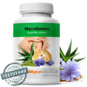 Výživový doplnok MycoGastro sypká zmes na prípravu nápoja MycoMedica 90g