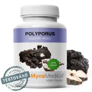 MYCOMEDICA Polyporus 90 rastlinných vegánskych kapsúl