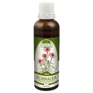 Naděje - Podhorná Echinacea tinktúra z byliny 50 ml
