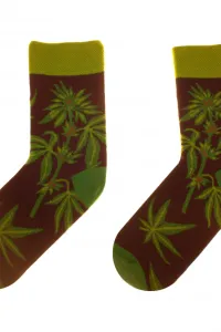 Dámske ponožky 80 Funny herbs