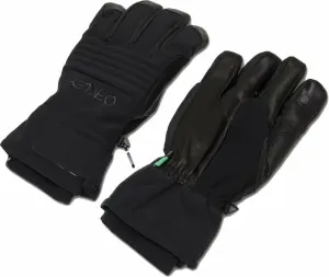 Oakley B1B Glove Blackout M Lyžiarske rukavice