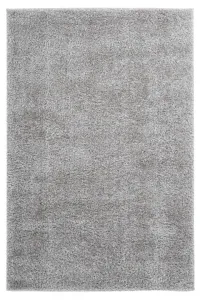 Kusový koberec Emilia 250 silver Rozmery koberca: 200x290