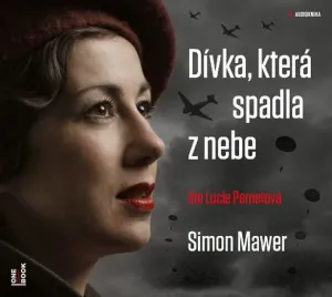 Dívka, která spadla z nebe - CDmp3 (Čte Lucie Pernetová) - Mawer Simon