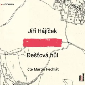 Dešťová hůl - Jiří Hájíček (mp3 audiokniha)