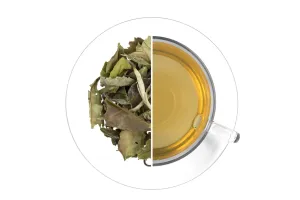 OXALIS Pai Mu Tan Biela pivonka sypaný čaj biely 30 g