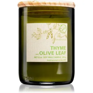 Paddywax Eco Green Thyme & Olive Leaf vonná sviečka 226 g