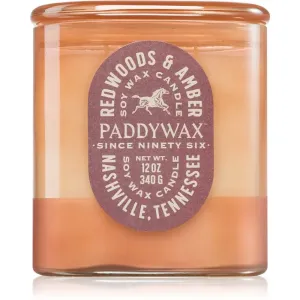 Paddywax Vista Redwoods & Amber vonná sviečka 340 g #9338897