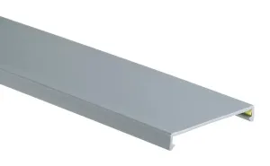 Panduit C6Lg6 Wiring Duct Cover, Grey, 1.8M