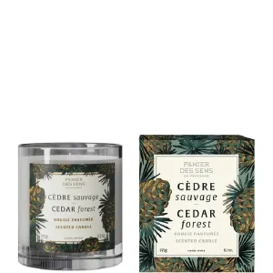 Panier des Sens Vonná sviečka Home Cedar Forest (Scented Candle) 275 g