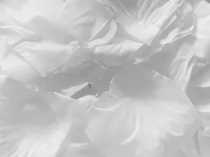 Okvetné lístky bielych ruží - nejedlá dekorácia - PartyDeco