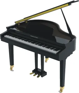 Pearl River GP 1100 Čierna Digitálne piano