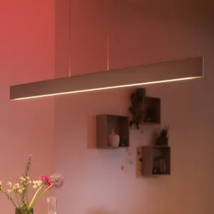 Philips Hue White and Color Ambiance Ensis 40903/31/P7
