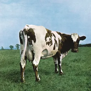 Pink Floyd - Atom Heart Mother (2011 Remastered) (LP)