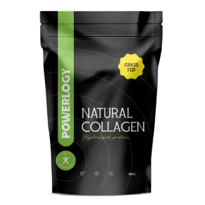 Powerlogy Natural Collagen kolagén pre krásne vlasy a pokožku 330 g
