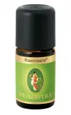 Éterický olej Gáfrovník BIO (Ravintsara) – Primavera Objem: 5 ml