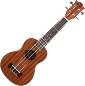 Prodipe Guitars BS1 Sopránové ukulele #343602
