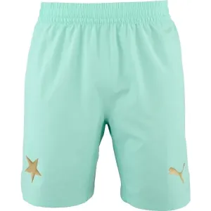 Puma SKS Shorts Promo Pánske futbalové šortky, tyrkysová, veľkosť #7587221