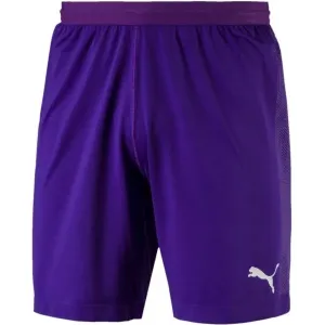 Puma FINAL evoKNIT GK Shorts Pánske brankárske trenky, fialová, veľkosť