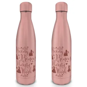Pyramid Kovová fľaša na nápoj Disney Princess (Thirsty Work) 550 ml