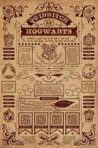 Pyramid Plagát Harry Potter - Quidditch in Hogwarts